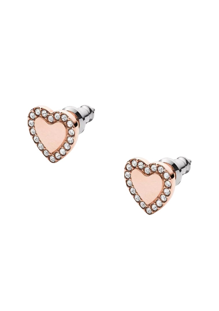 Fossil, JF03364791 — thumbnail 2